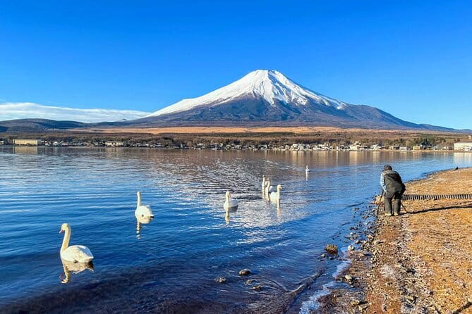 Full Day Tour at Mt. Fuji, Onsen, Lake Kawaguchi and Yamanaka - Mt. Fuji 5th Station: 40 Minutes at High Elevation