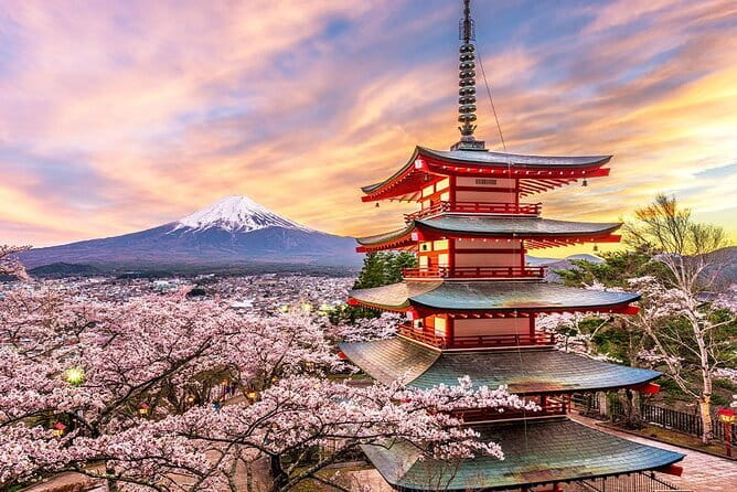 Full Day Tour at Mt. Fuji, Onsen, Lake Kawaguchi and Yamanaka - Lake Yamanaka: Swan Lake, and the One-Choice Rule