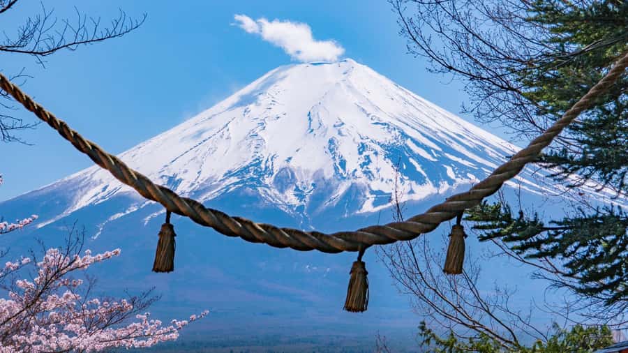Full-Day Tour to the Picturesque Spots of Mount Fuji - Lunch, shopping breaks, and the real-world pacing