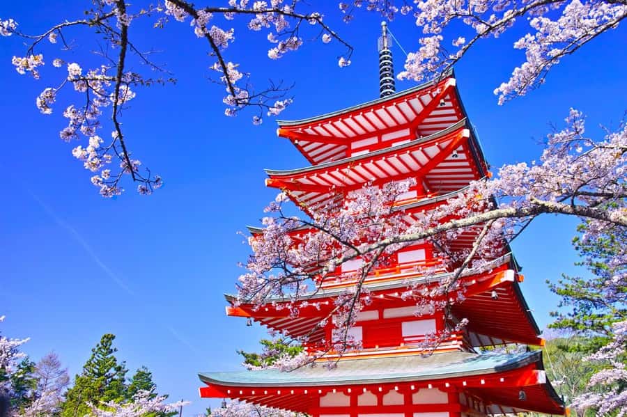 Full-Day Tour to the Picturesque Spots of Mount Fuji - Photo strategy and weather: how to maximize your odds of seeing Mount Fuji