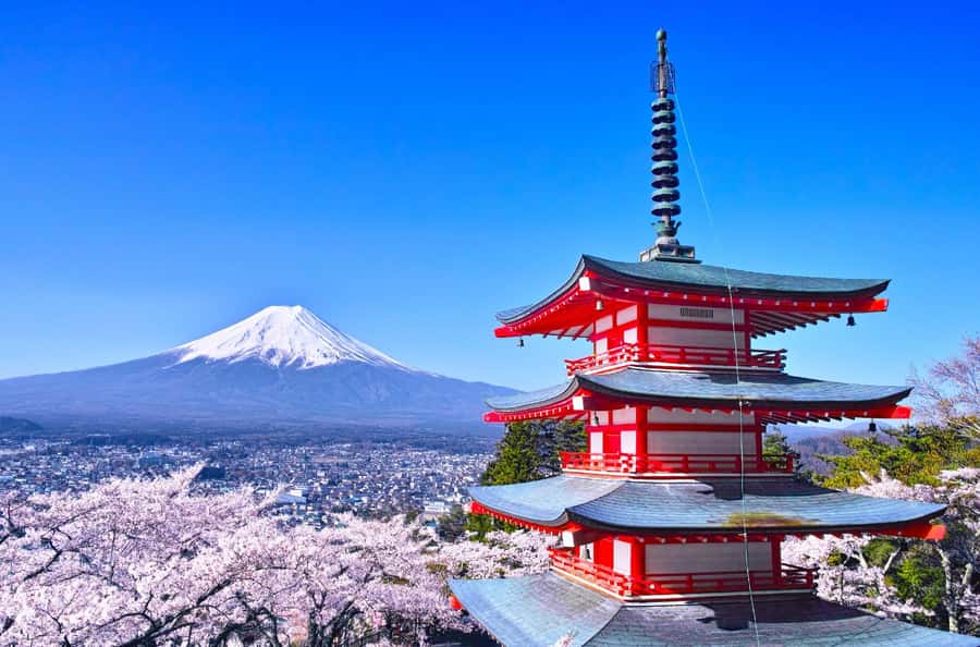 Full-Day Tour to the Picturesque Spots of Mount Fuji - Price and value: what $49 really buys you