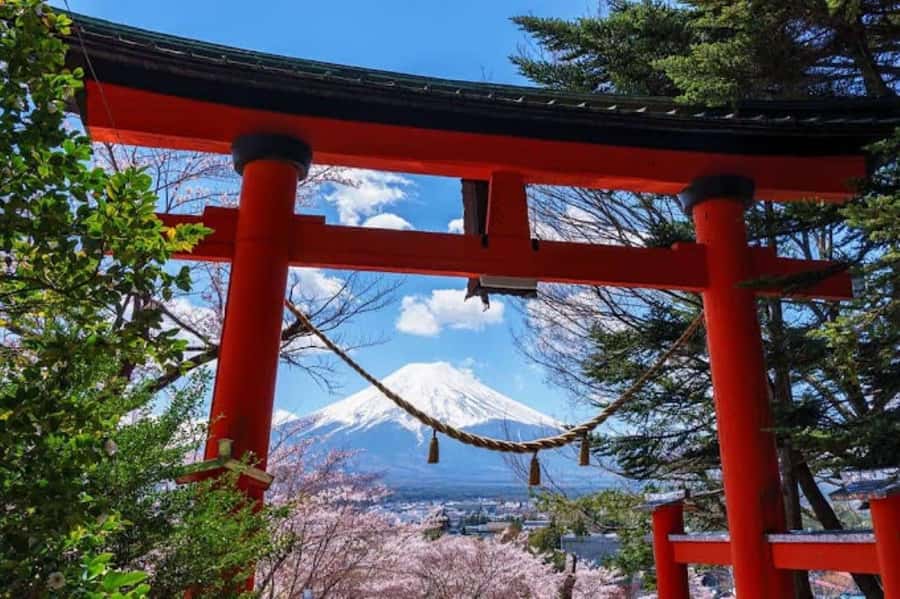 Full-Day Tour to the Picturesque Spots of Mount Fuji - Who this Mount Fuji day trip suits best