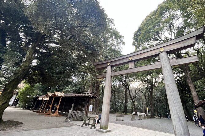 Full Day Walking Tour in Shinjuku and Shibuya - Why this Shinjuku and Shibuya day makes sense