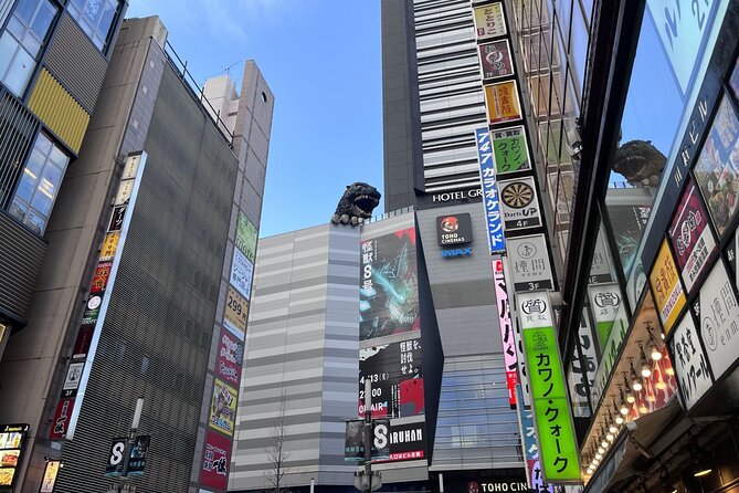 Full Day Walking Tour in Shinjuku and Shibuya - Price and what you actually get for $165.19