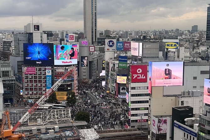 Full Day Walking Tour in Shinjuku and Shibuya - What the guides get praised for, and how you can use that