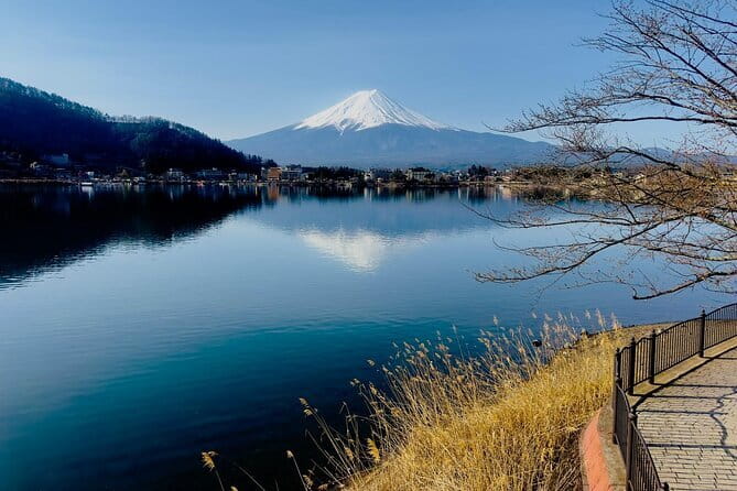 Full Guided Mt. Fuji & Hakone Attractive Private Day Tour - Private Fuji and Hakone, without the scramble