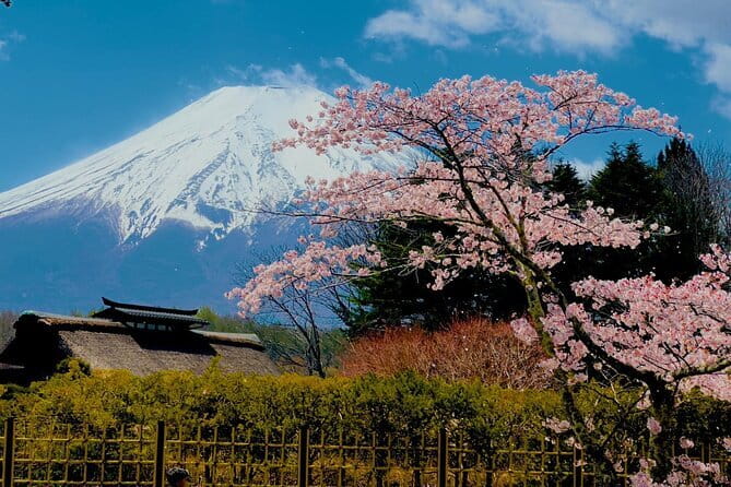 Full Guided Mt. Fuji & Hakone Attractive Private Day Tour - Tokyo Station pickup, and a day that actually ends where it starts