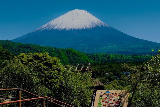 Full Guided Mt. Fuji & Shiba-Sakura Festival One Day Pvt.Tour - Key Things That Make This Day Tour Work