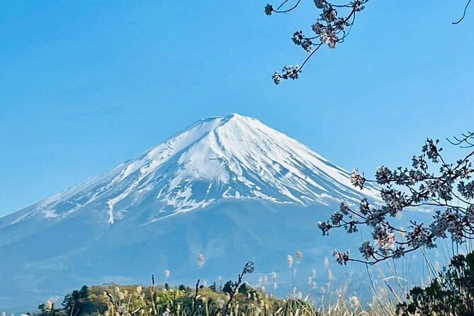 Full Guided Mt. Fuji & Shiba-Sakura Festival One Day Pvt.Tour - What Makes the Driver Experience Matter