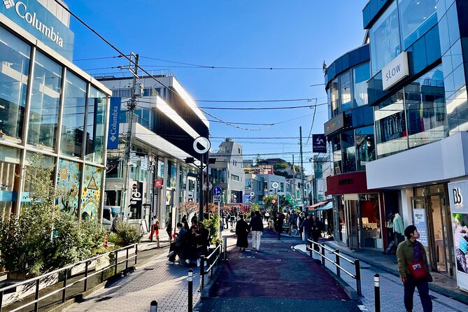 Get Unique Insights into Tokyo - Private Tour with local Guide - Kubukicho Tower to Odaiba Aqua City and Unicorn Gundam