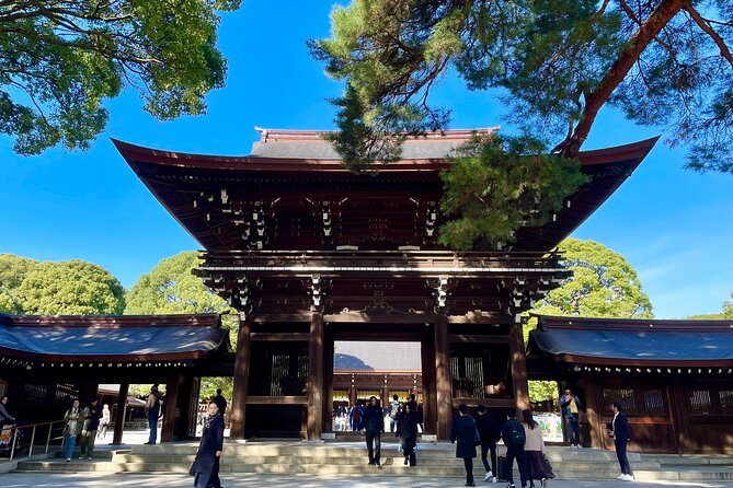 Get Unique Insights into Tokyo - Private Tour with local Guide - Asakusa, Akihabara, and Ueno Park: Culture, Tech, and a Breather