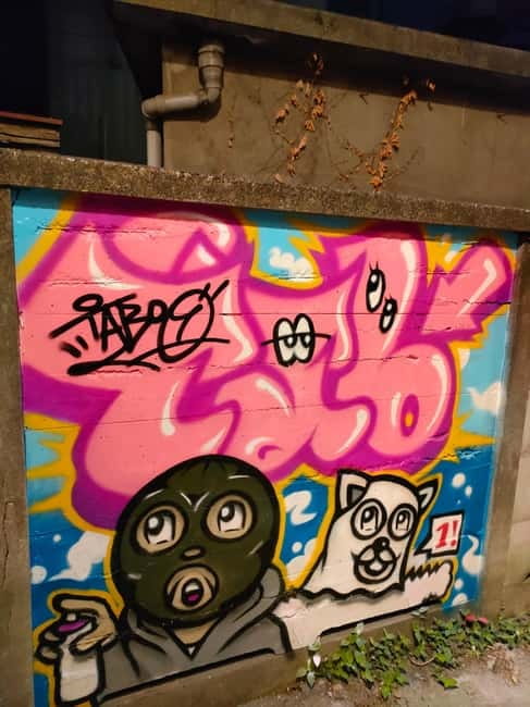 Graffiti in Tokyo Walking Tour: Shibuya and Harajuku - Price and value: $38 for two hours of guided street-level context