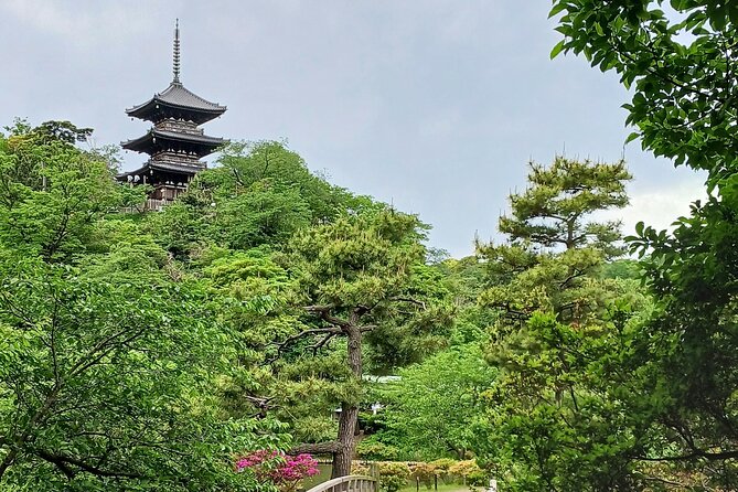 Guided History & Nature Exploration in the Yokohama Hill Area - Harbor View Park: The Port Photo Stop That Saves Time