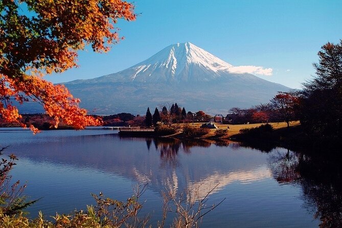 Hakone 8 hour Private Tour with Government-Licensed Guide - The art museum plan: when 15 minutes can still work