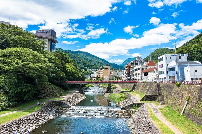 Hakone 8 hour Private Tour with Government-Licensed Guide - Ropeway and Gora Park: fast elevation and a breather with views