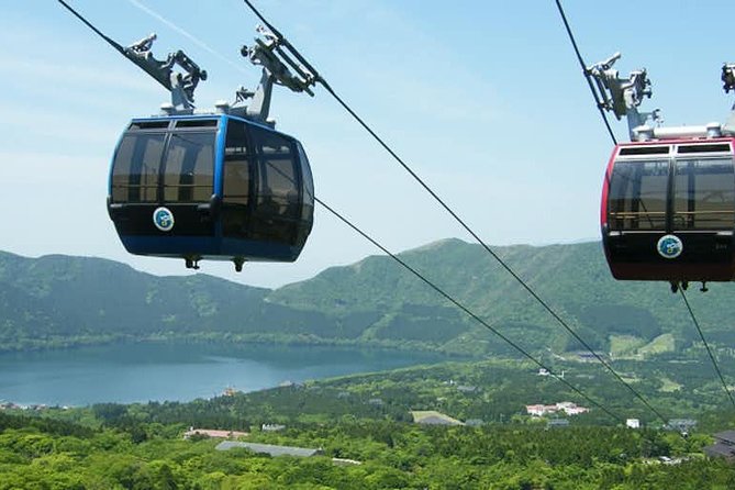 Hakone 8 hour Private Tour with Government-Licensed Guide - Picking 4 to 5 stops: your best strategy for a single day