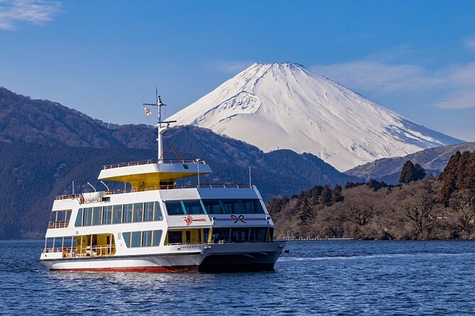 Hakone and Mt Fuji Private Custom Tour with English Guide - Why this private Hakone and Mt Fuji day feels easier than DIY