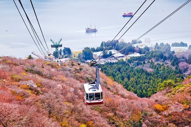 Hakone and Mt Fuji Private Custom Tour with English Guide - Gotemba Premium Outlets as an optional reset