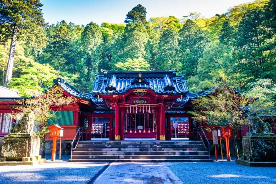 Hakone: Customizable Full Day Tour with Private Transfer - Small group size and what it means for your day