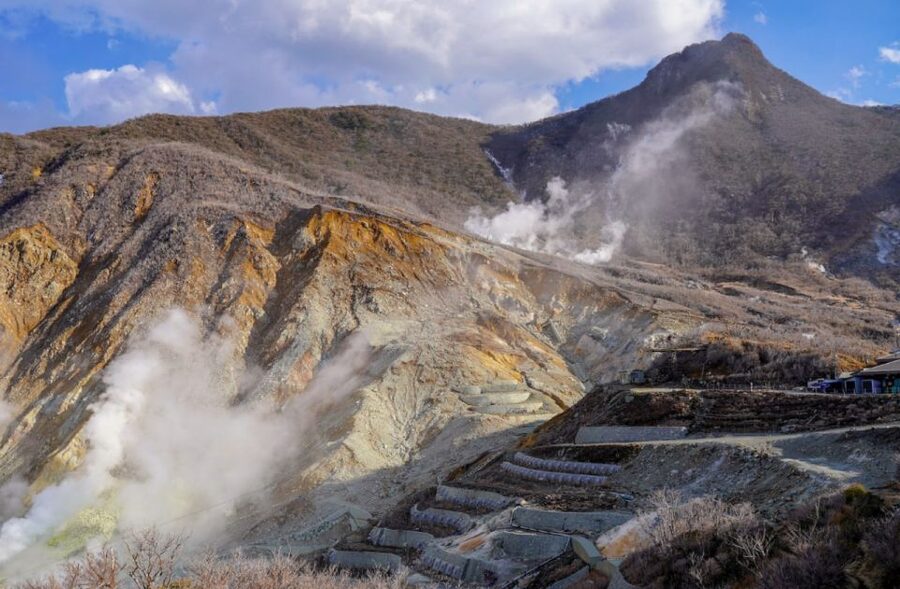 Hakone: Customizable Full Day Tour with Private Transfer - Who this Hakone tour fits best