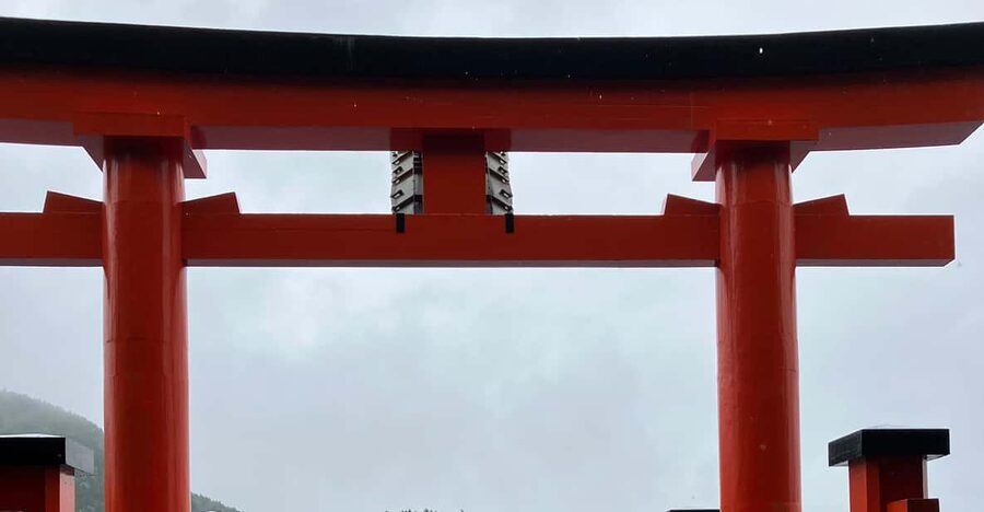 Hakone: Day Tour to View Mt Fuji & Wooden Culture Experience - Key highlights to zero in on
