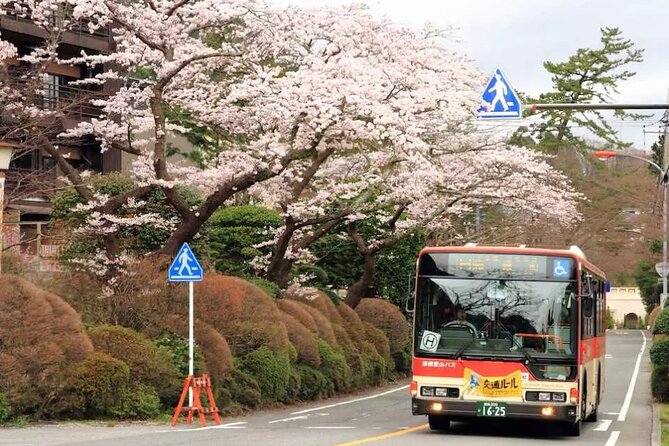 Hakone Free Pass, 2-3 Days Travel Voucher Japan - Price and value: is $66.50 really a bargain?