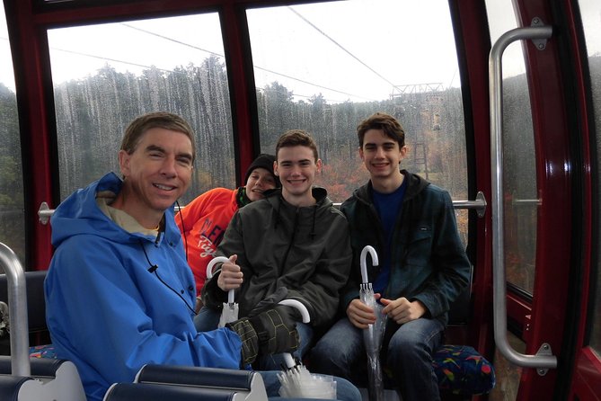 Hakone Full-Day Private Tour By Public Transportation - Owakudani Valley: sulfur, smoke, and real volcanic mood