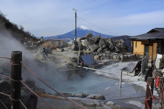 Hakone Full-Day Private Tour By Public Transportation - Hakone Open-Air Museum: art with nature doing half the work