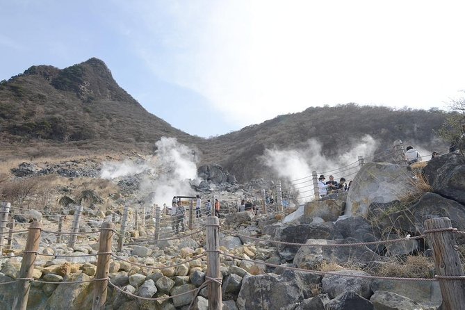 Hakone Full-Day Private Tour(Tokyo DEP.) with Government-Licensed Guide - Price and value: what’s included, what’s on you, and why it can still be worth it