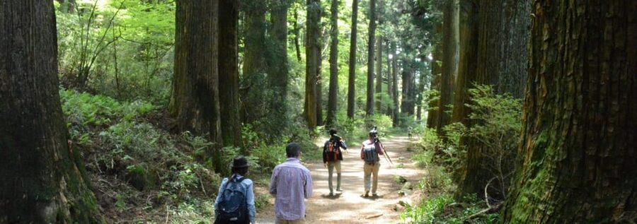 Hakone Geology & History Tour - Volcanic Hakone, explained like a story you can walk through