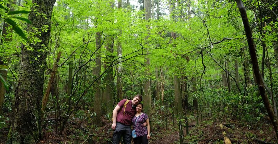 Hakone Hachiri: Old Tokaido Highway Hiking Half-day tour - Key highlights to look for