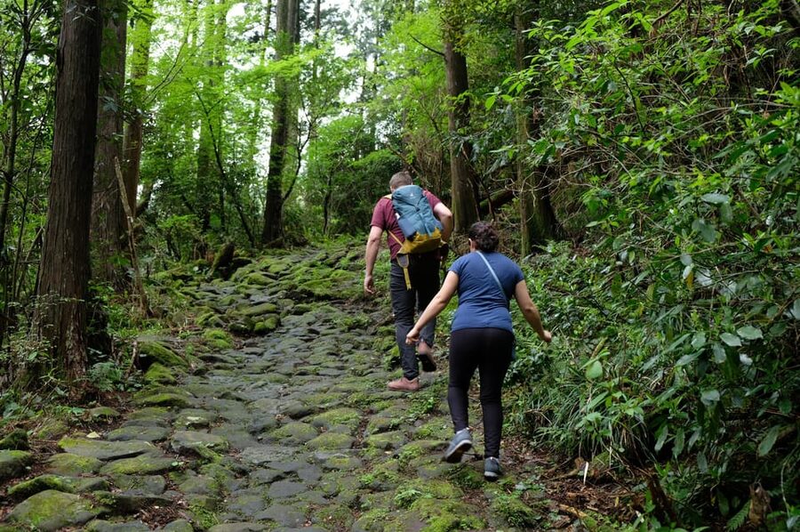 Hakone Hachiri: Old Tokaido Highway Hiking Half-day tour - Hakone Hachiri: walking the Old Tokaido without the full 32 km slog