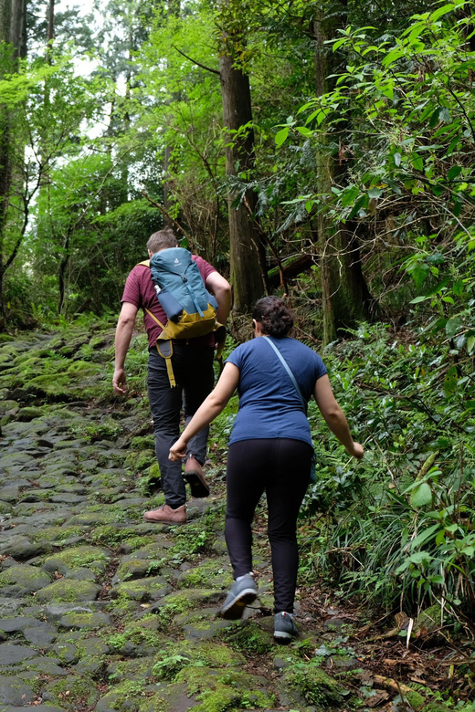 Hakone Hachiri: Old Tokaido Highway Hiking Half-day tour - Hatajuku: wood carving village energy and snack-time browsing