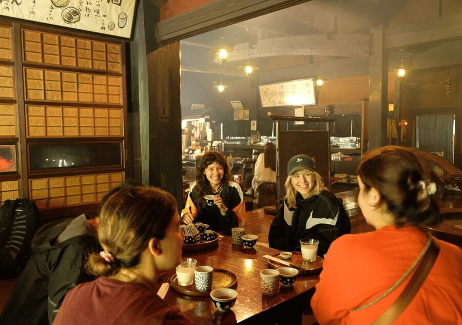 Hakone Hachiri: Old Tokaido Highway Hiking Half-day tour - Lake Ashi: postcard views and the Mt. Fuji gamble