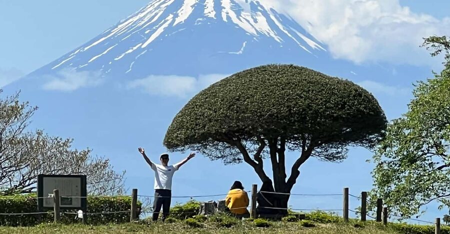 Hakone Hachiri: Old Tokaido Highway Hiking Tour - Key things I’d highlight before you go