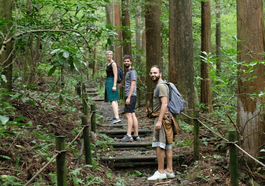 Hakone Hachiri: Old Tokaido Highway Hiking Tour - Walking the old Tokaido logic: why this route feels different