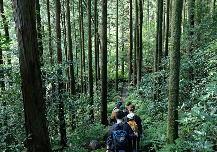 Hakone Hachiri: Old Tokaido Highway Hiking Tour - Lake Ashi and the Torii gate: postcard photos with real context