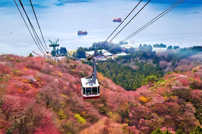 Hakone Private Customized Day Tour - Owakudani Valley: Volcanic History in a Single Stop