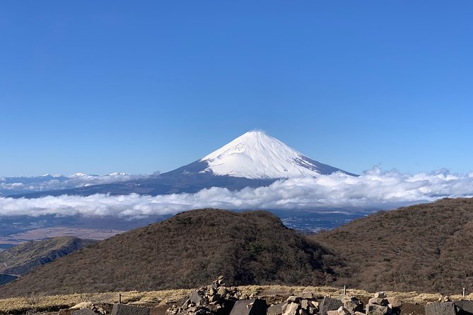 Hakone Private One Day Tour From Tokyo: Mt Fuji, Lake Ashi, Hakone National Park - Why a Hakone private day trip from Tokyo is such a good idea