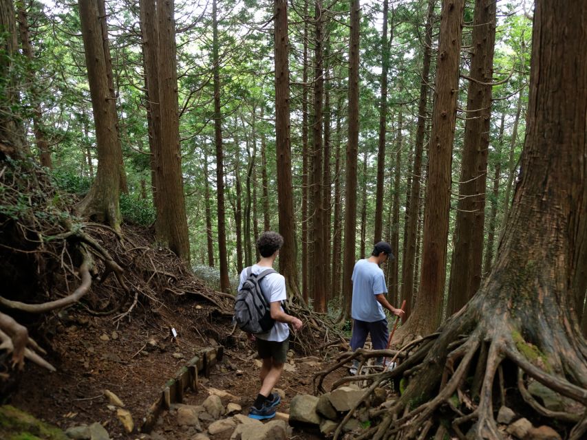 Hakone: Traverse the Hakone Caldera and Enjoy Onsen - Fitness, Footwear, and What to Pack for Bamboo, Snow, and Climbing