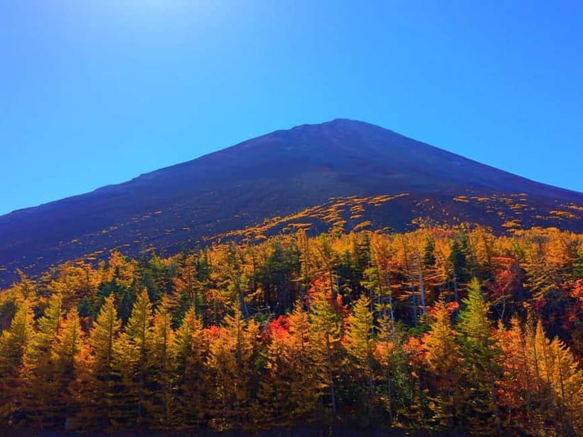 Halfway Up Mt,Fuji, Oshino Hakkai, Kawaguchiko from Tokyo - A practical Mount Fuji loop from Tokyo, with real time built in