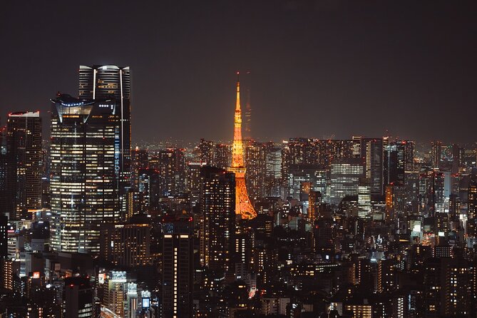 Haneda Airport: One Way Private Transfer to Tokyo|Yokohama Hotels - Potential hiccups to watch for before you assume it will be perfect