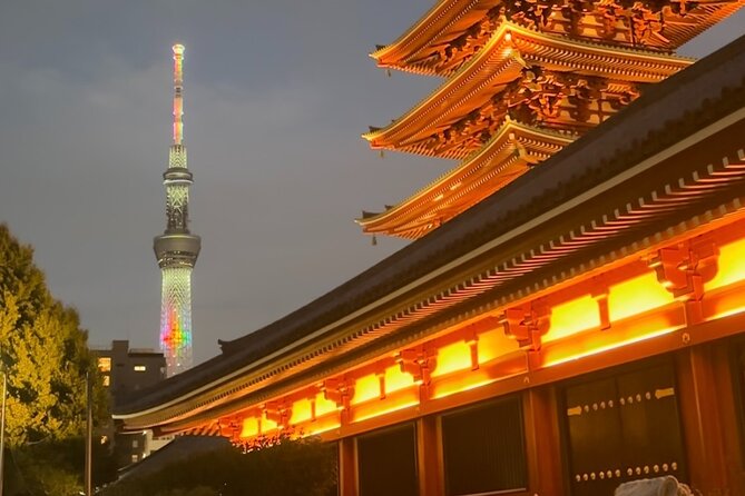 Haneda Airport Private Transfer – Luxury Car & Meet & Greet - Who this transfer fits best, and who should consider alternatives