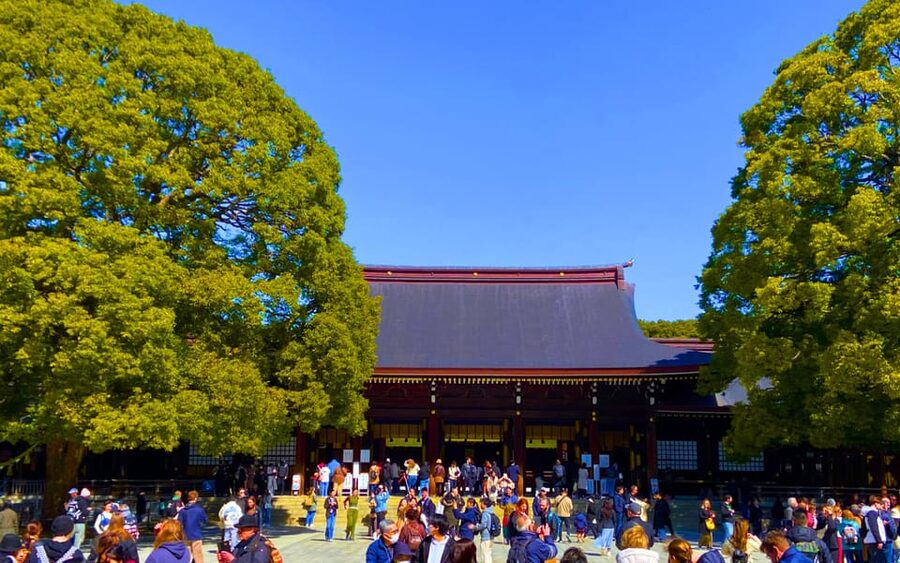 Harajuku : Blend of Tradition & Pop Culture for Family Tour - Key things to know before you go