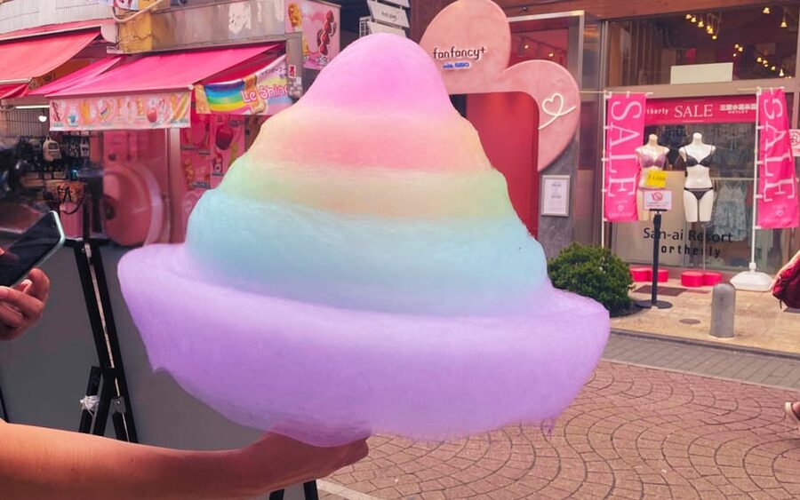 Harajuku : Blend of Tradition & Pop Culture for Family Tour - What to bring, what not to do, and weather sanity