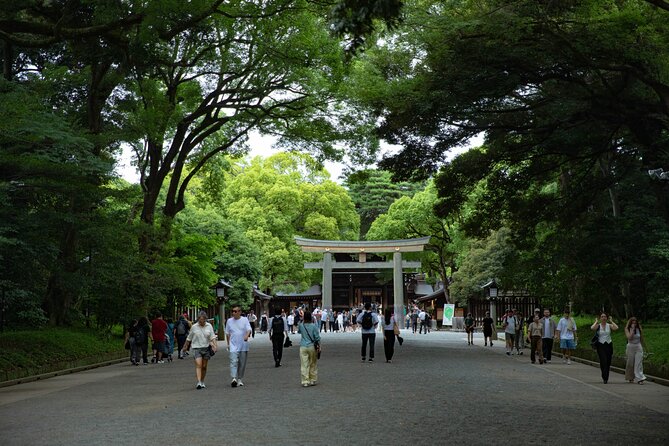 Harajuku Meiji Shrine Walking Tour in Tokyo - Stop 3, Omotesando: stylish architecture and designer Tokyo