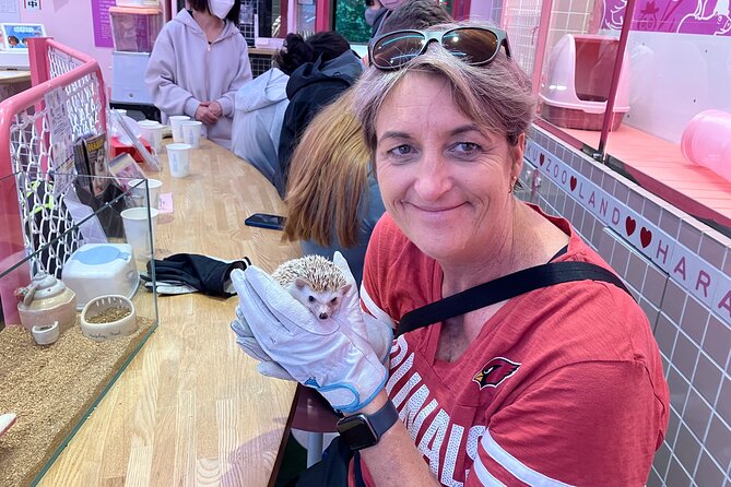 Harajuku Private Tour: Kawaii Fashion & Animal Cafe Included - Who this tour suits best (and who might want to DIY)