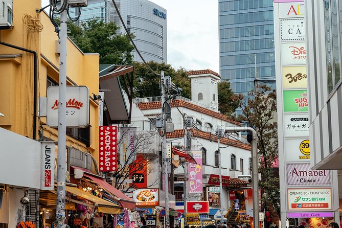 Highlights & Hidden Gems of the Shibuya District Private Tour - Hachiko Statue in around 30 minutes: the bronze dog, and why it matters