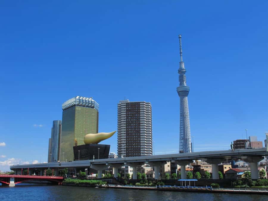 Highlights of Tokyo Private Tour with a Licensed Guide - Who Should Book This Tour, and Who Might Want a Different Plan