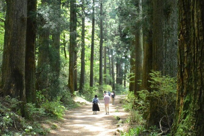 Hike Hakone Hachiri - Price and value: what $231.18 buys you in plain terms